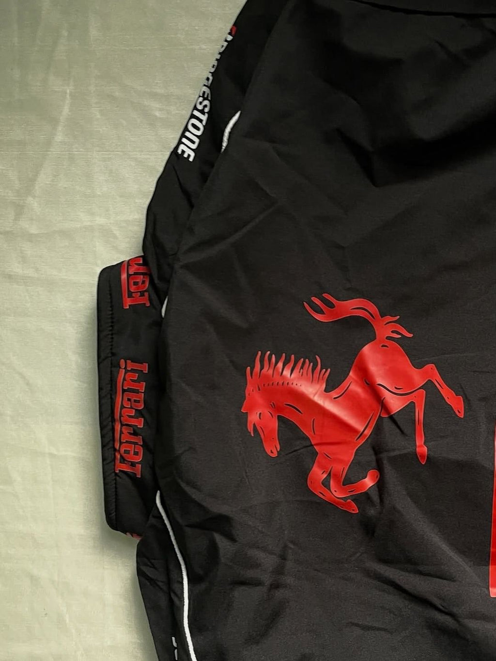 Ferrari F1 racing jacket in black-VANZI.